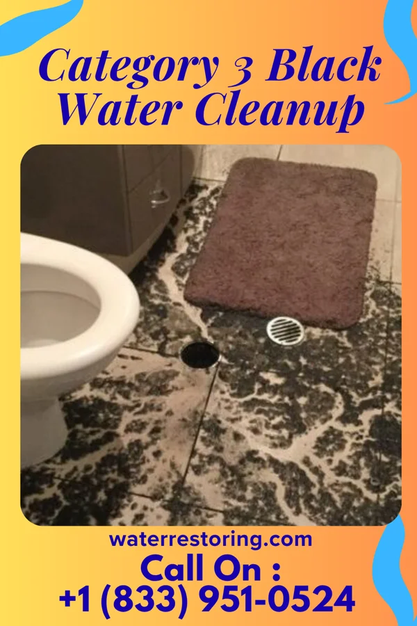 Category 3 Black Water Cleanup in Bratenahl, OH